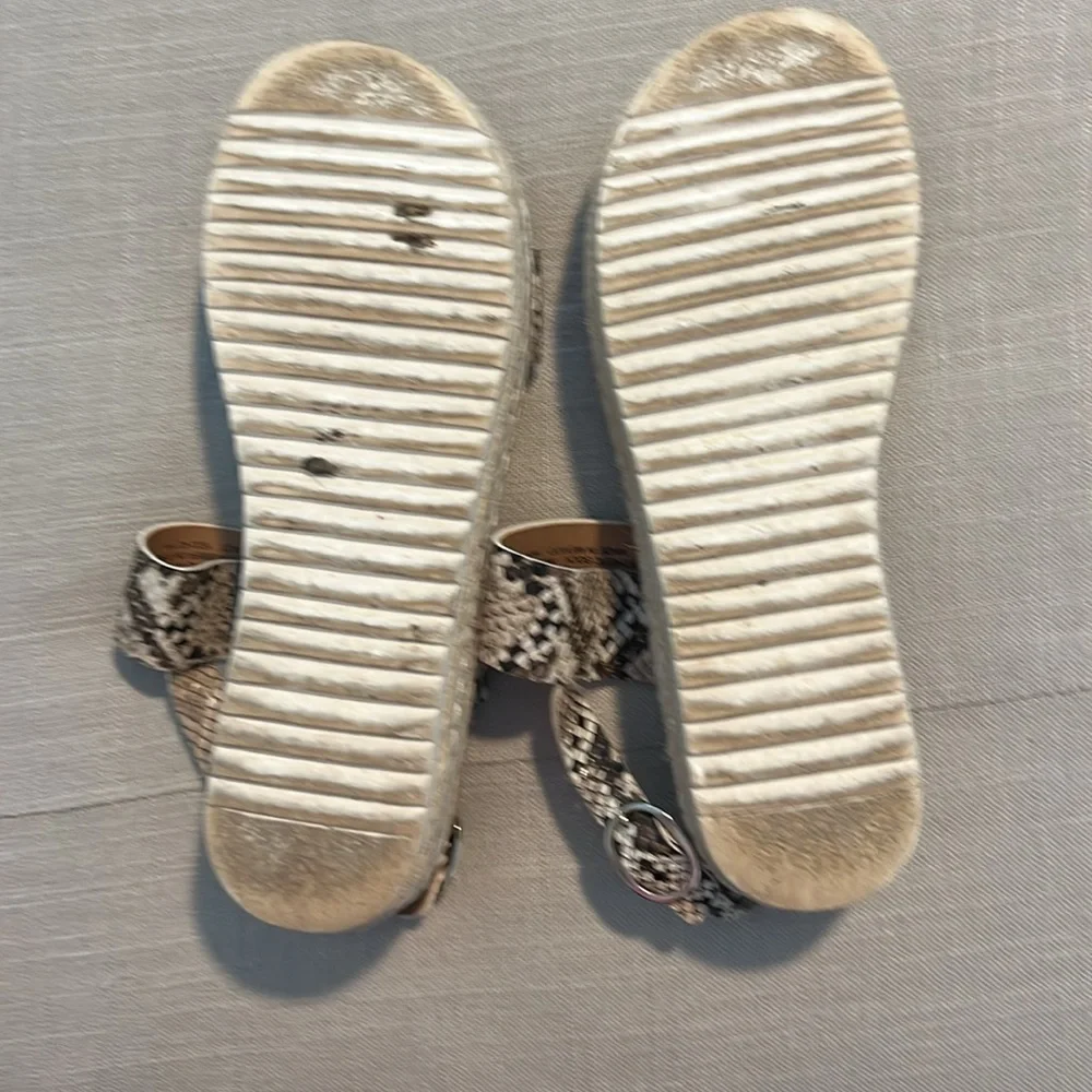 Steve Madden